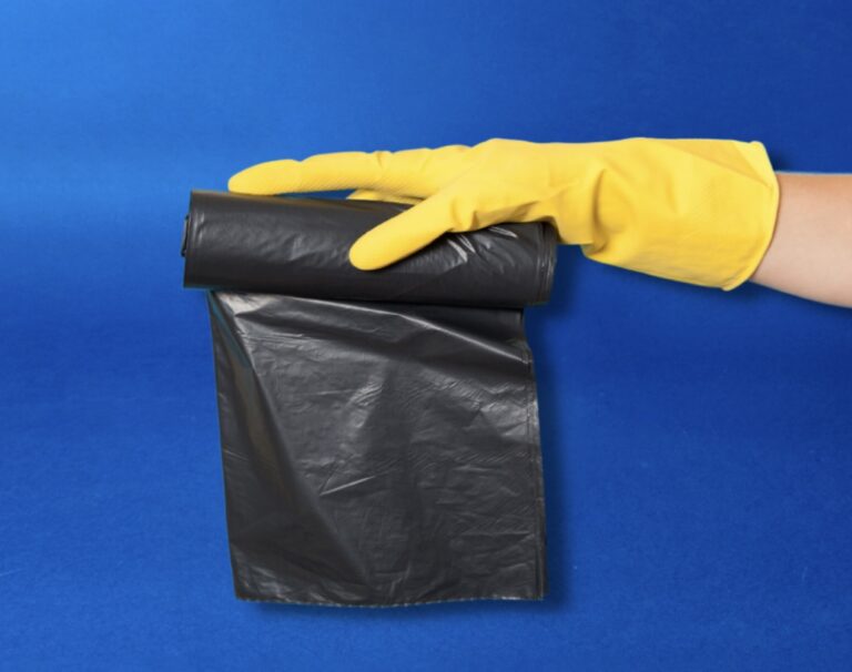 Imagen 20 10 25 a las 1.01 p.m 768x606